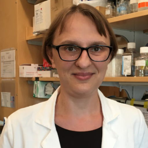 a headshot of Dr. Griciuc