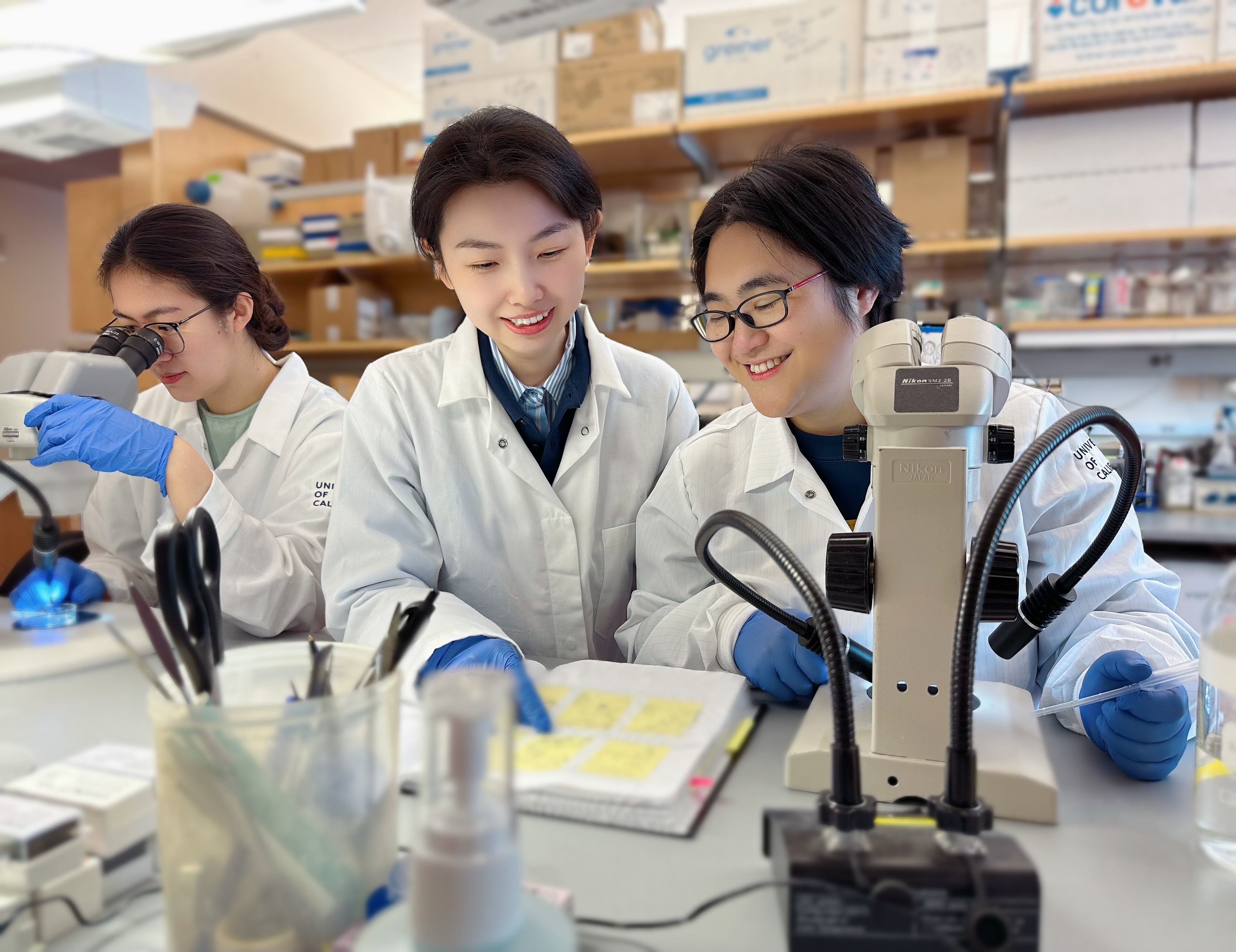 Dr. Zhao and her labmates at the University of California, San Francisco. 