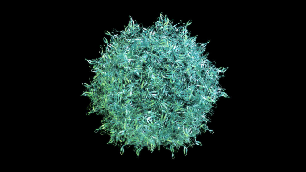 Eye Injections for AMD Treatment: A Retina Specialist Answers Your ...