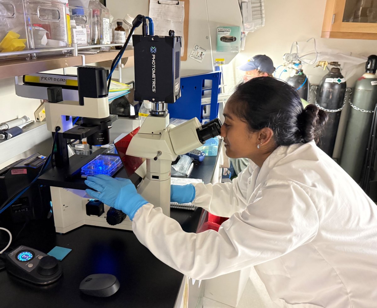 A researcher looking through a microscope in a lab.