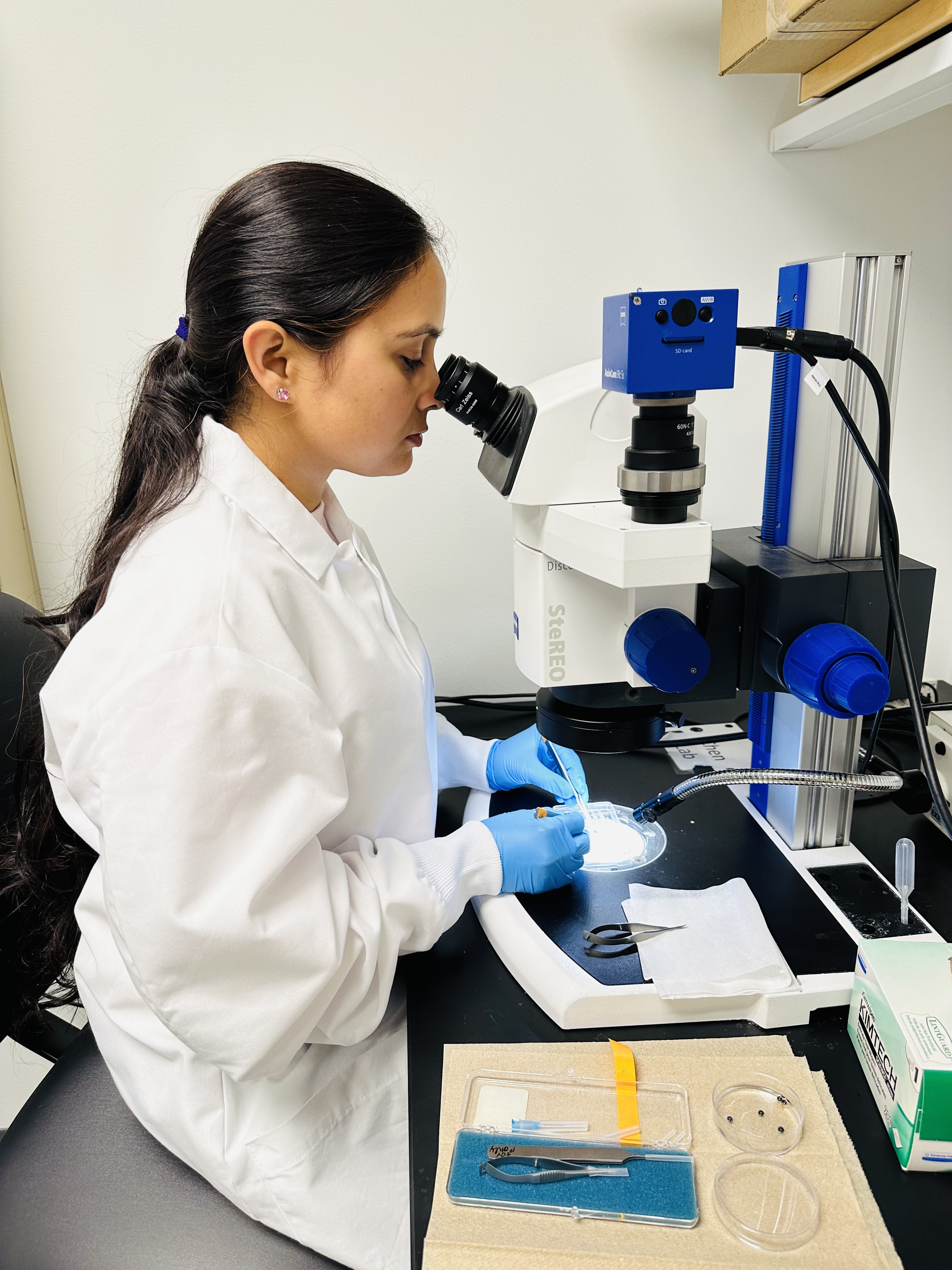 Neetu Kushwah, PhD working in a lab using a microscope.
