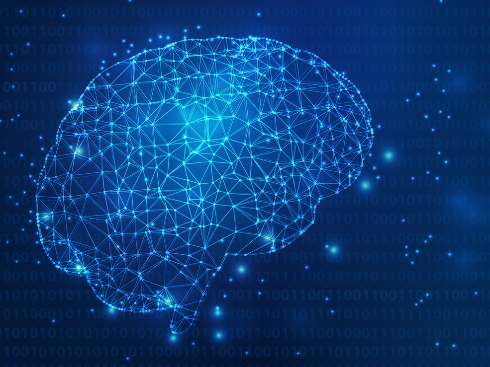 Wireframe of a human brain neural network.