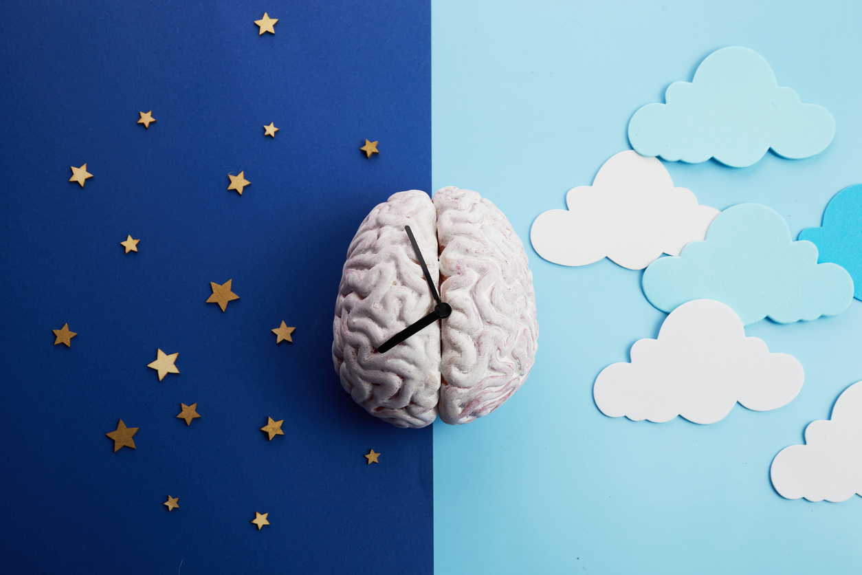 Brain with clock arms dividing night and daytime.