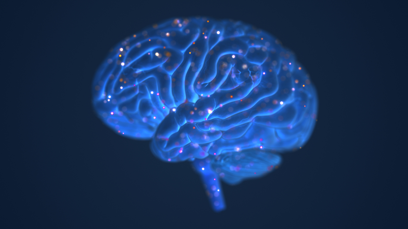 Neurons communicate with each other via electrical events called 'action potentials' and chemical neurotransmitters.