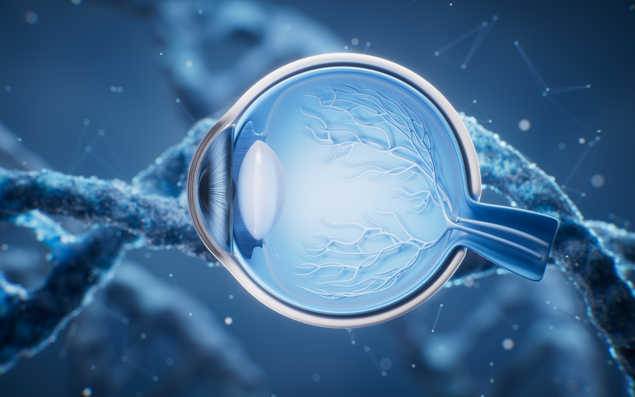 Medical eyeball structure scientific illustration, 3d rendering.