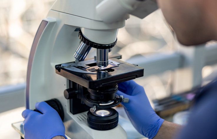 Scientist looking at medical samples under the microscope at the laboratory.