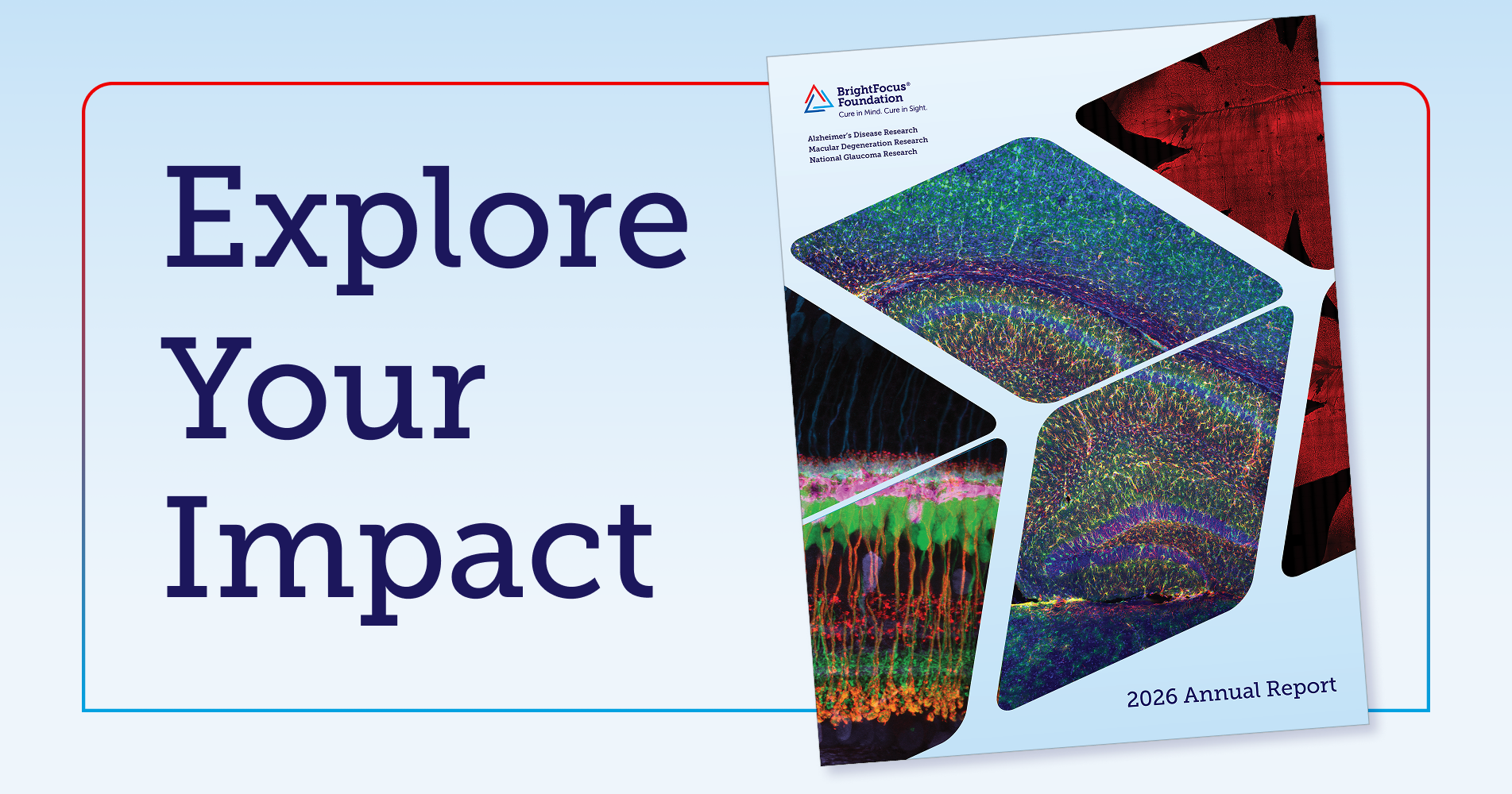 Cover of the 2026 BrightFocus Annual Report with the text "Explore Your Impact"